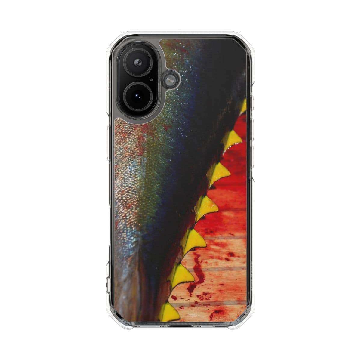 Ahi tail and finlets on a clear case