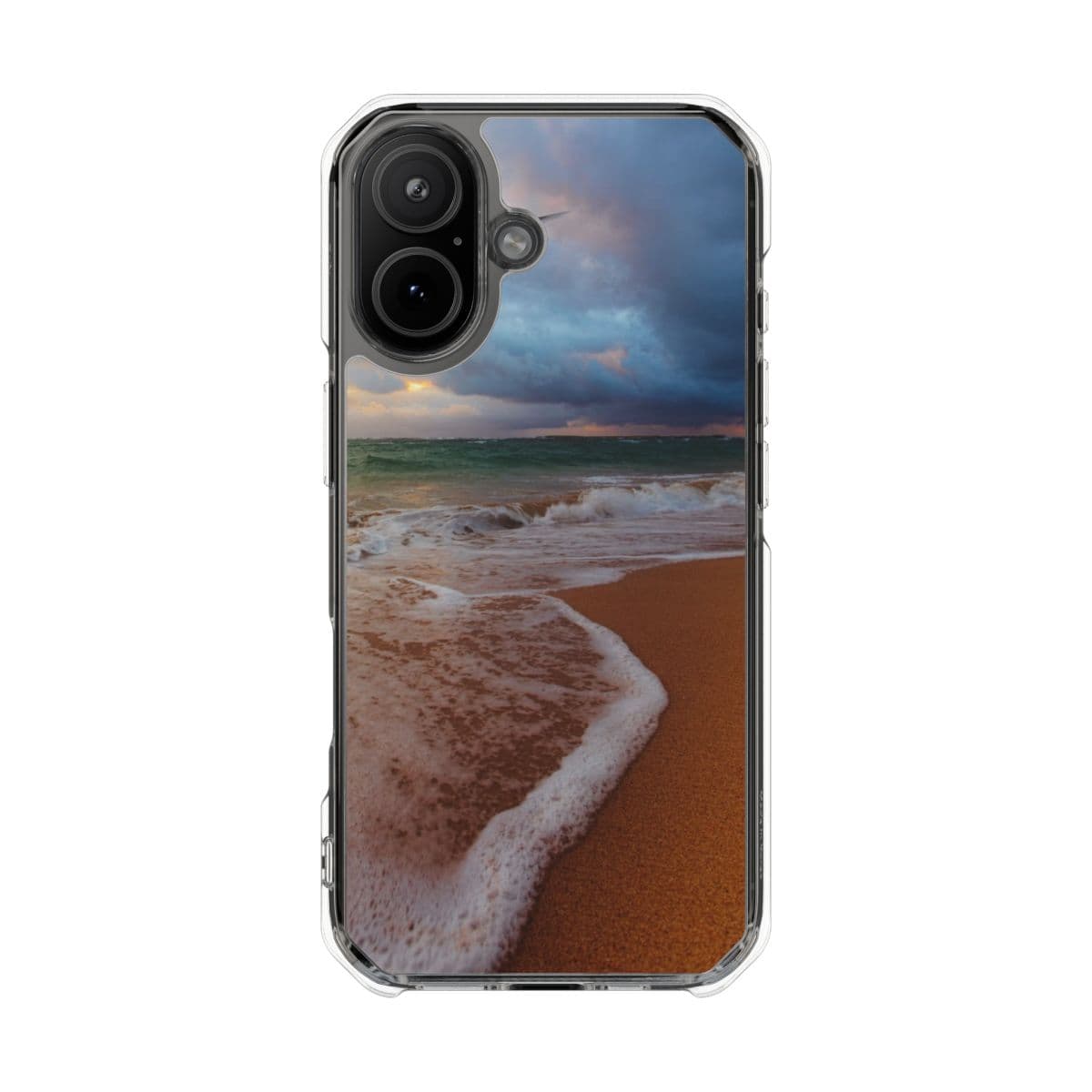 White tern over storm surf and sand on a clear case