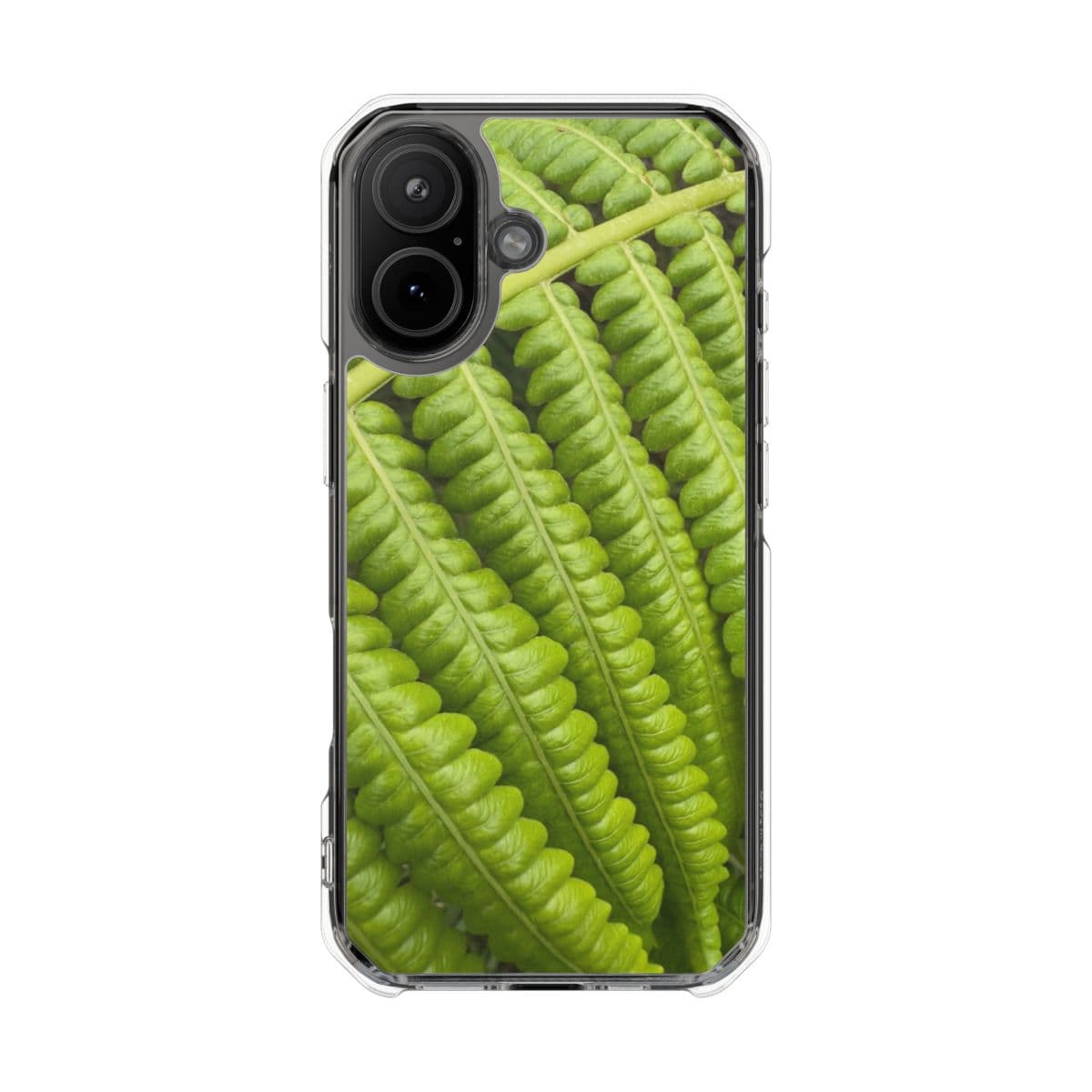 Fern frond close-up on a clear case